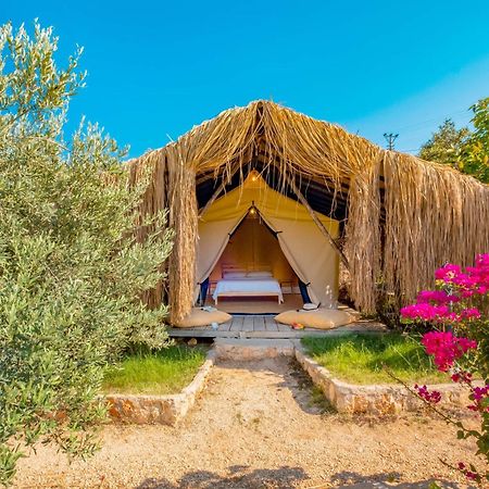 ホテル Kas Joy Glamping 部屋 写真